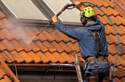 Démoussage et hydrofuge de toiture à Ouillon